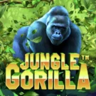 Jungle Gorilla